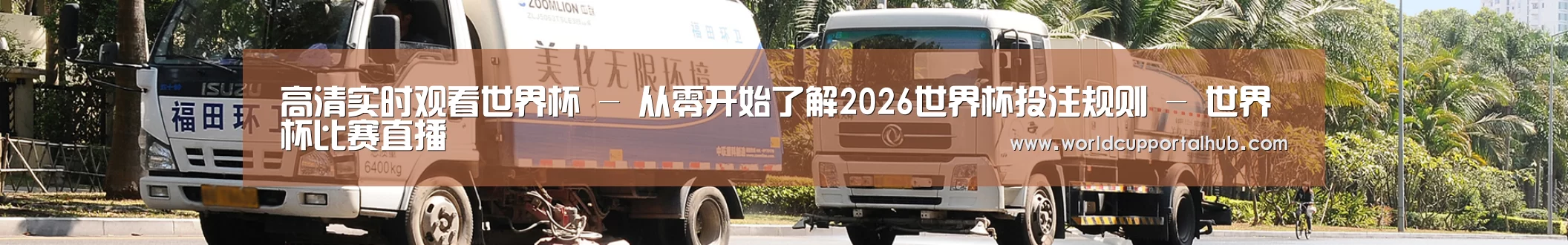 公司荣誉