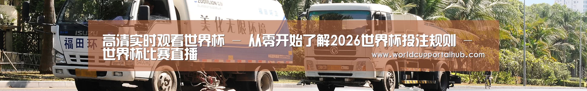 武汉市案例