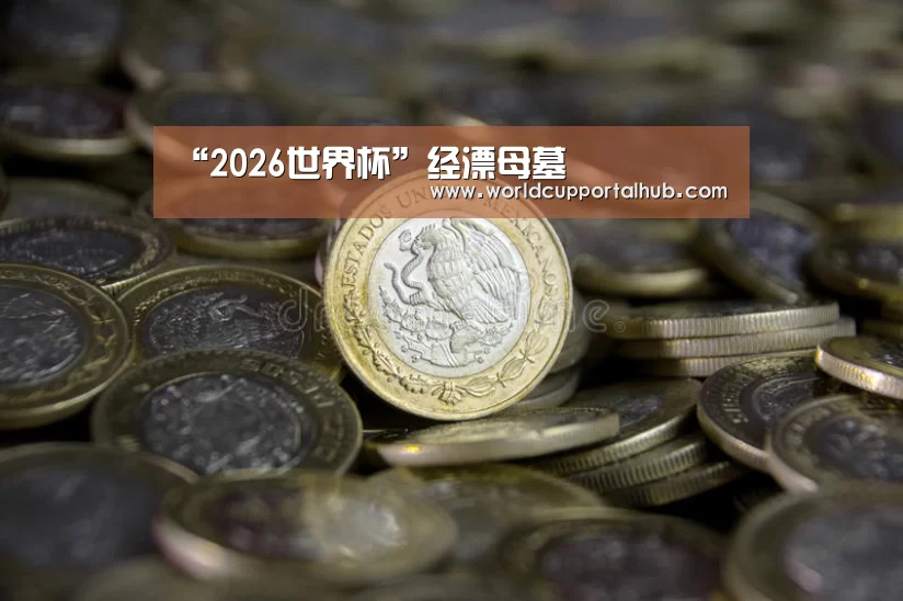 “2026世界杯”经漂母墓