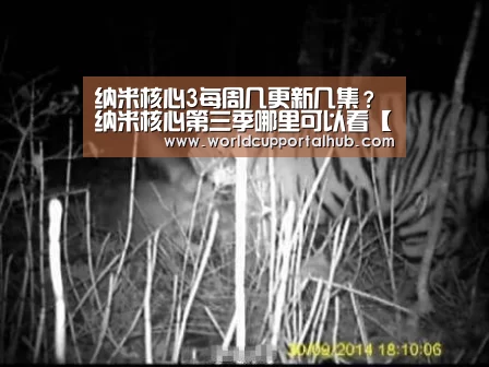 世界杯外围买球