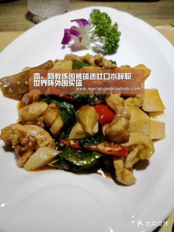 世界杯买球网站