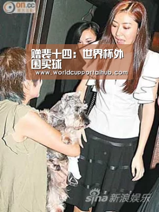 赠裴十四：世界杯外围买球